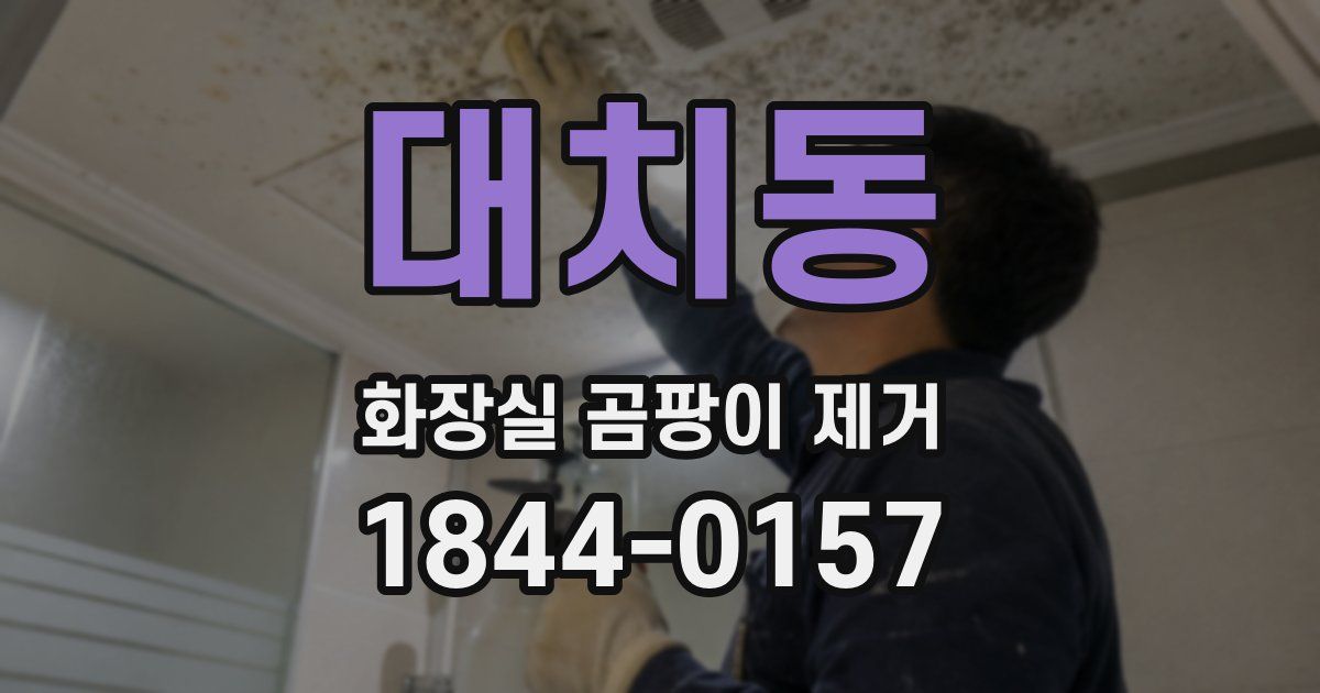 대치동 화장실 곰팡이 제거