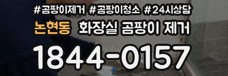 논현동 화장실 곰팡이 제거