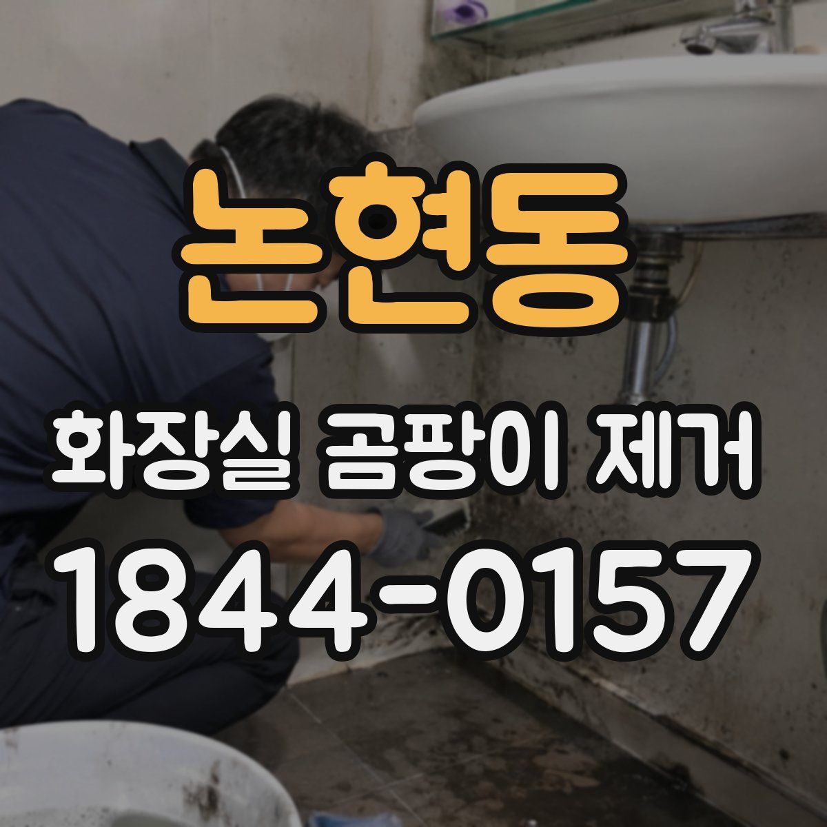 논현동 화장실 곰팡이 제거