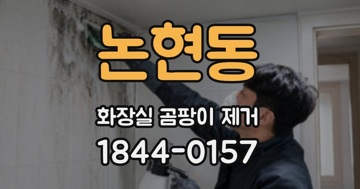 논현동 화장실 곰팡이 제거