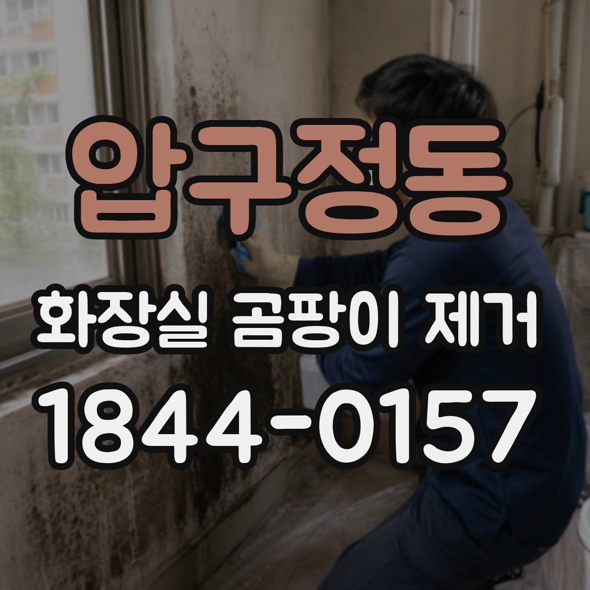 압구정동 화장실 곰팡이 제거