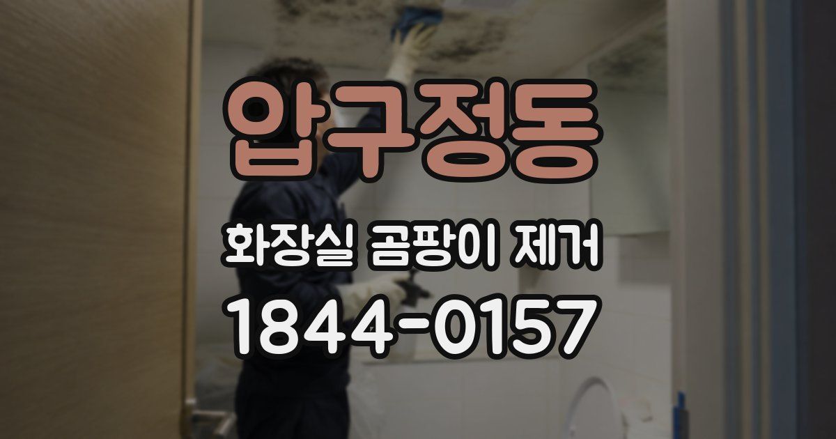 압구정동 화장실 곰팡이 제거