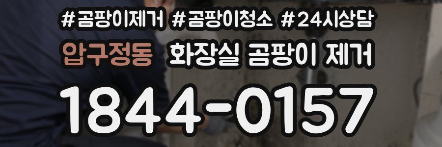압구정동 화장실 곰팡이 제거