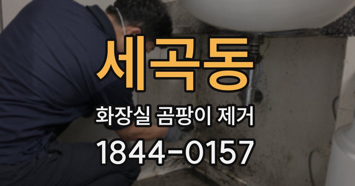 세곡동 화장실 곰팡이 제거