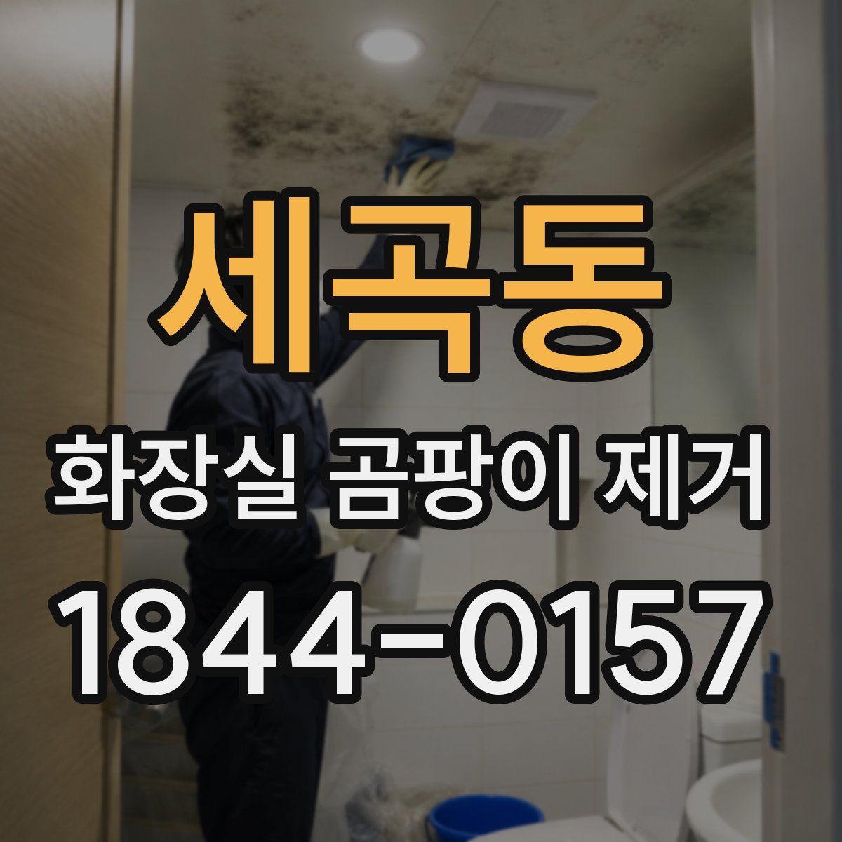 세곡동 화장실 곰팡이 제거
