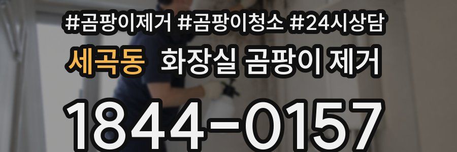 세곡동 화장실 곰팡이 제거