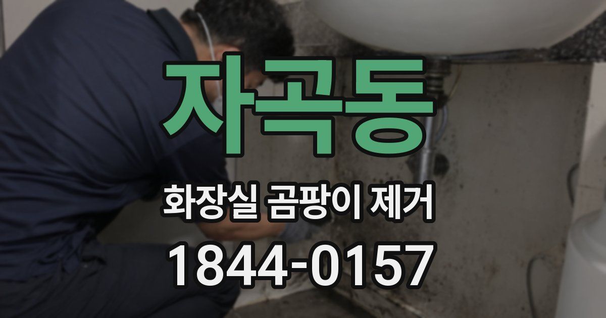 자곡동 화장실 곰팡이 제거