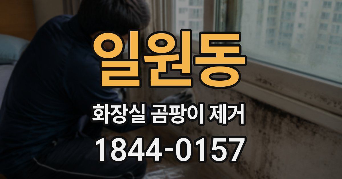 일원동 화장실 곰팡이 제거