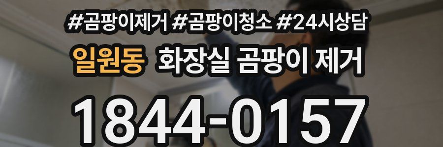 일원동 화장실 곰팡이 제거