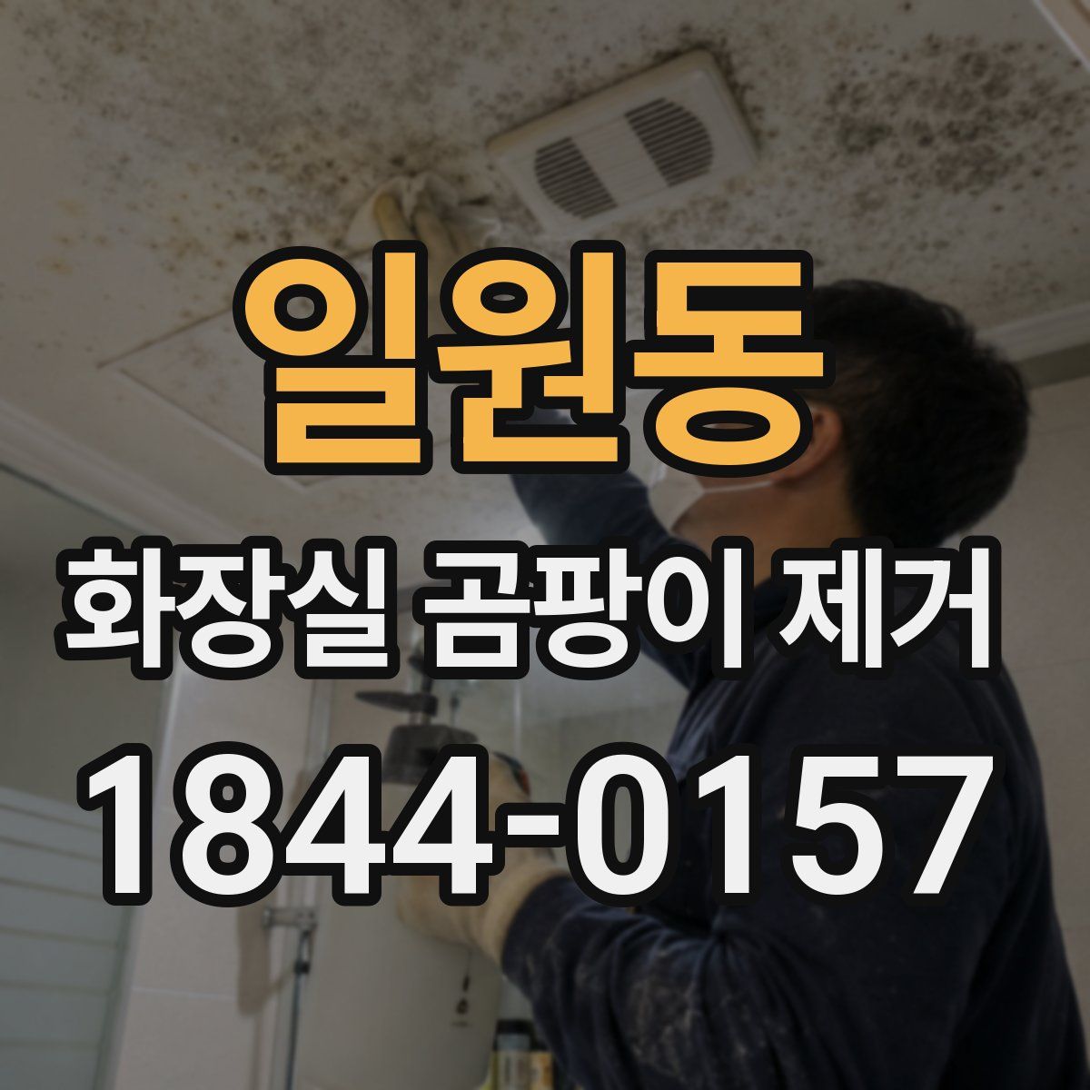 일원동 화장실 곰팡이 제거