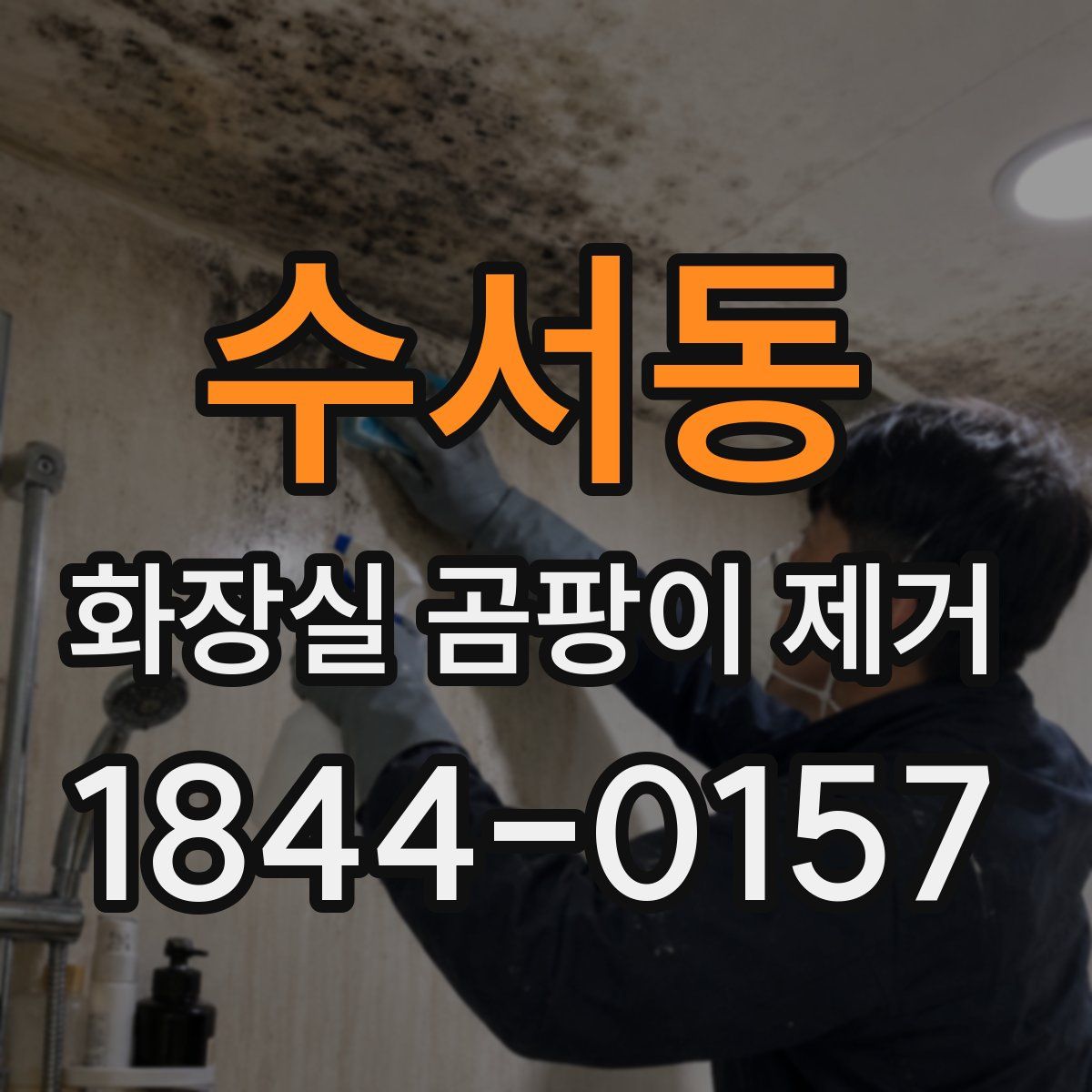 수서동 화장실 곰팡이 제거