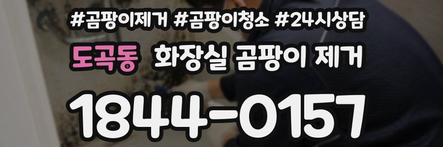 도곡동 화장실 곰팡이 제거