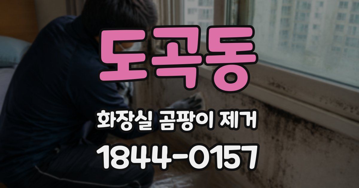 도곡동 화장실 곰팡이 제거