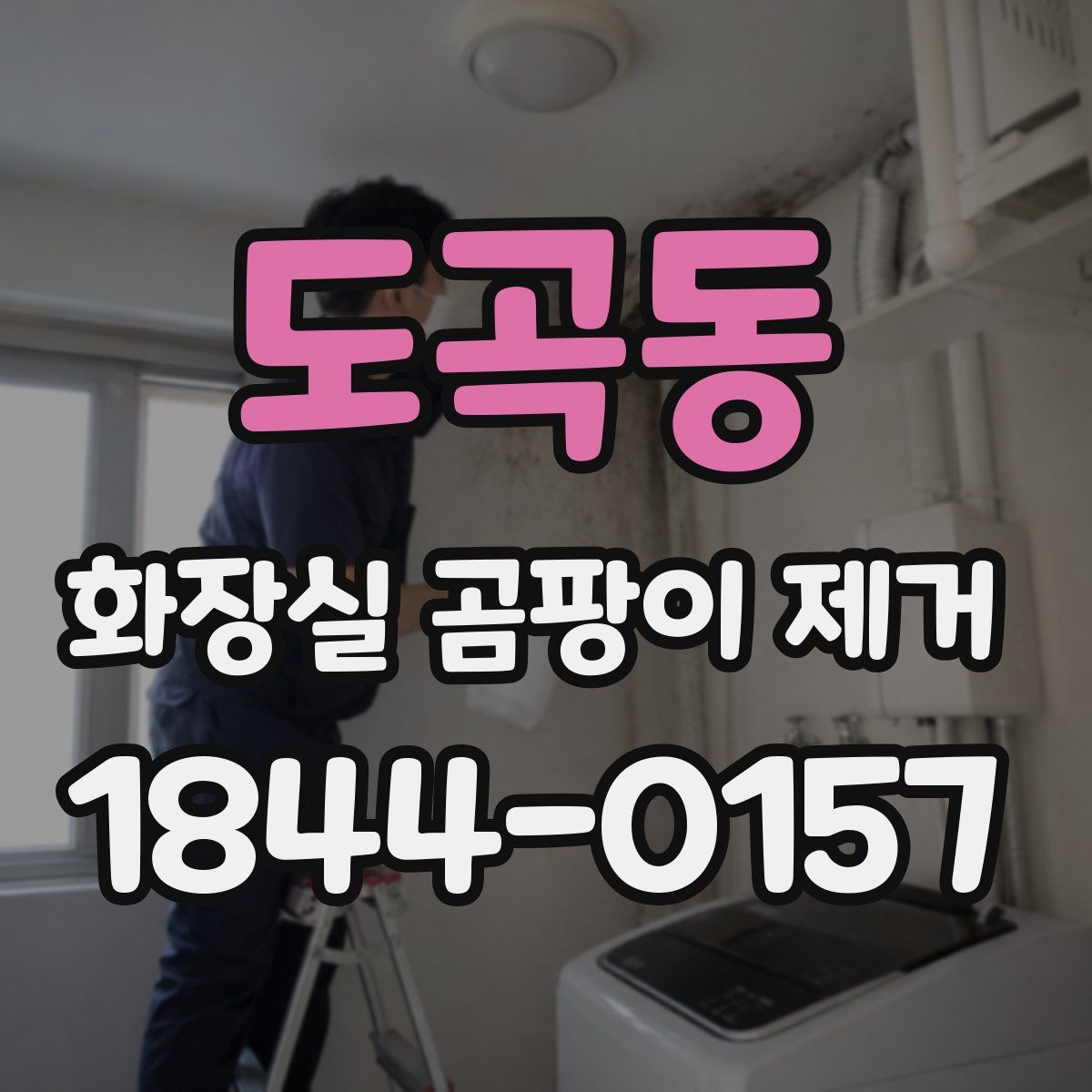 도곡동 화장실 곰팡이 제거