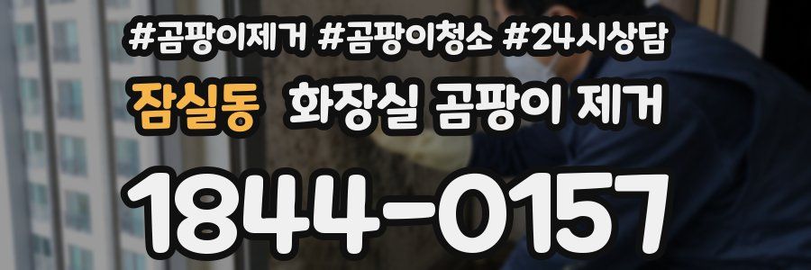 잠실동 화장실 곰팡이 제거