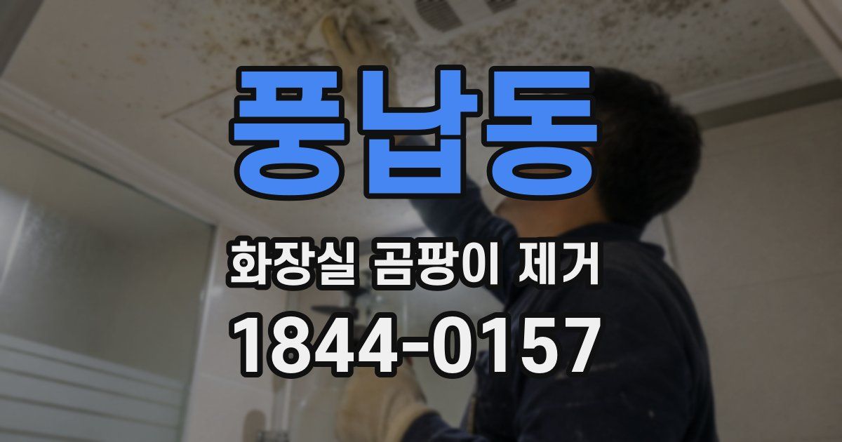 풍납동 화장실 곰팡이 제거