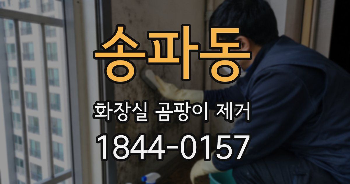 송파동 화장실 곰팡이 제거