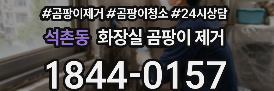 석촌동 화장실 곰팡이 제거