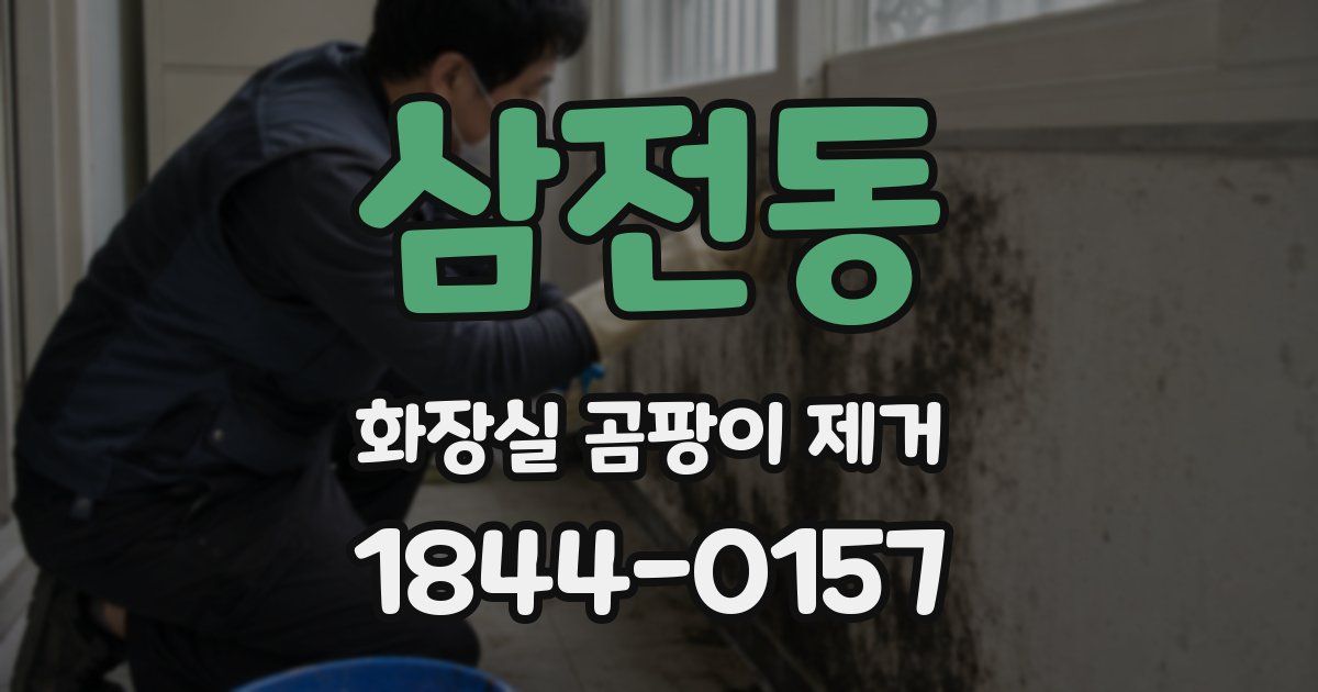 삼전동 화장실 곰팡이 제거