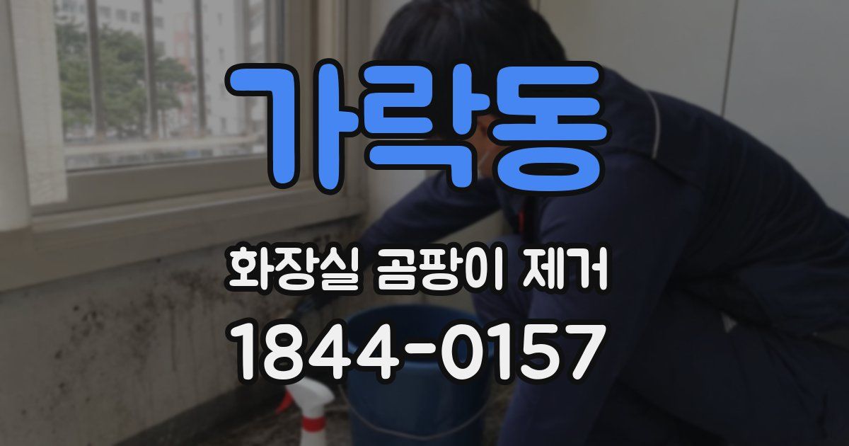 가락동 화장실 곰팡이 제거