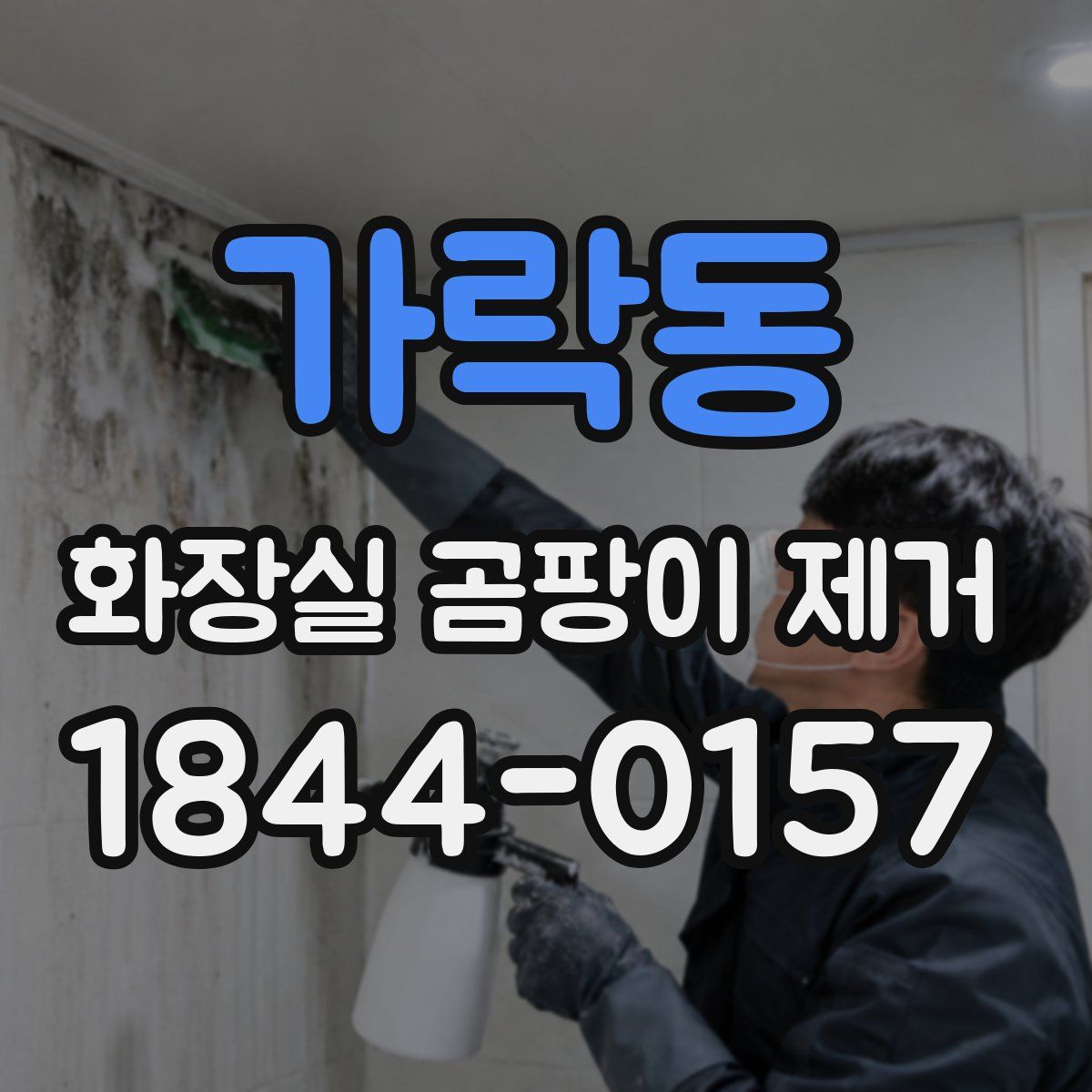 가락동 화장실 곰팡이 제거