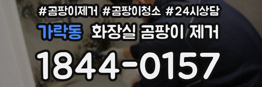 가락동 화장실 곰팡이 제거