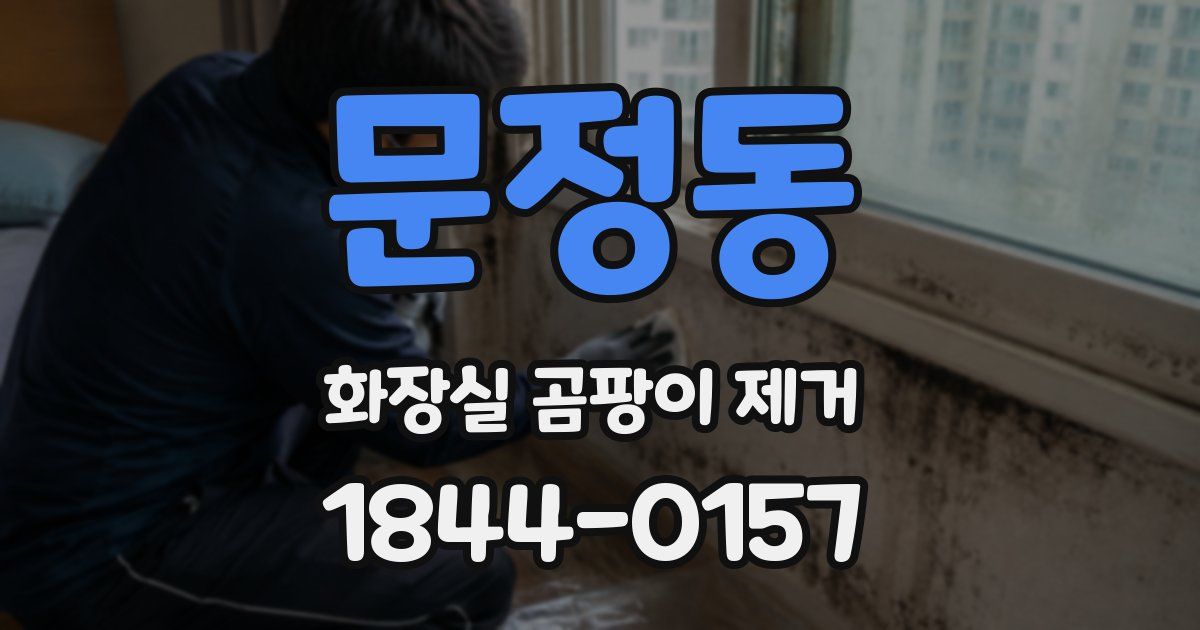 문정동 화장실 곰팡이 제거