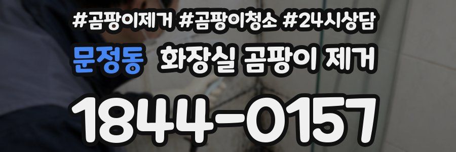 문정동 화장실 곰팡이 제거