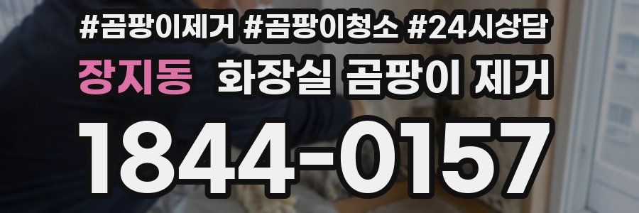 장지동 화장실 곰팡이 제거