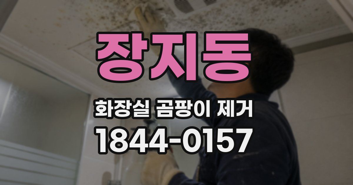 장지동 화장실 곰팡이 제거