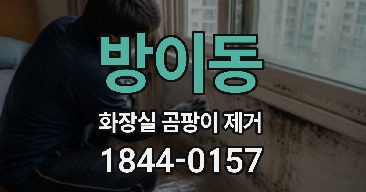방이동 화장실 곰팡이 제거