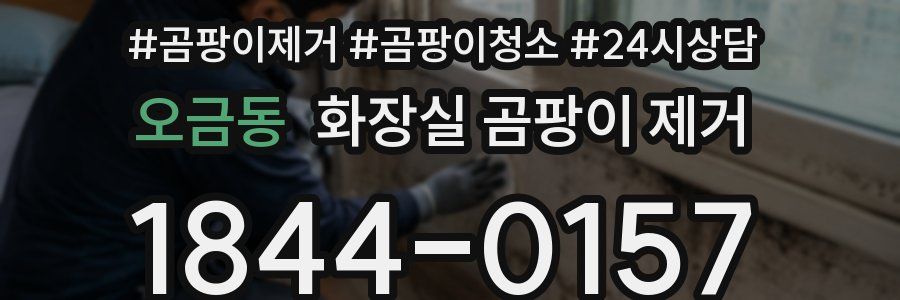 오금동 화장실 곰팡이 제거