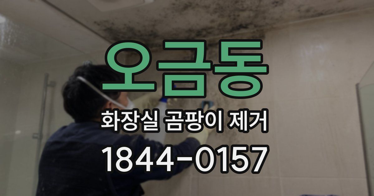 오금동 화장실 곰팡이 제거