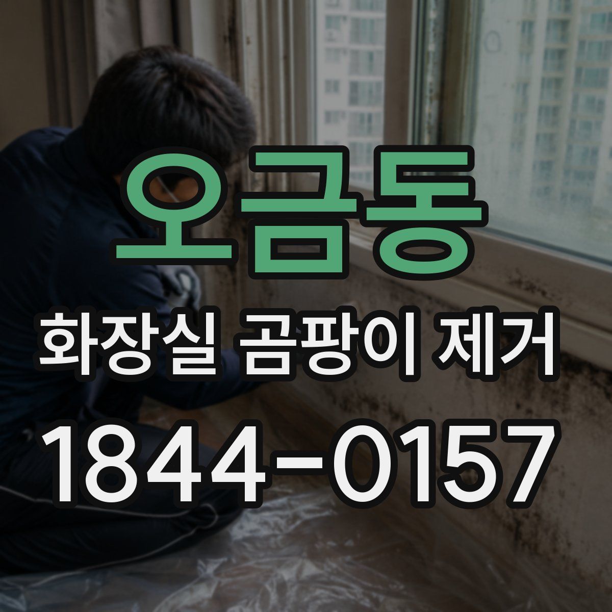 오금동 화장실 곰팡이 제거