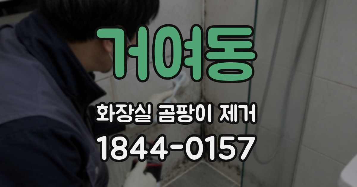 거여동 화장실 곰팡이 제거