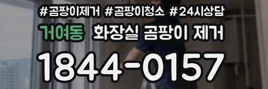 거여동 화장실 곰팡이 제거