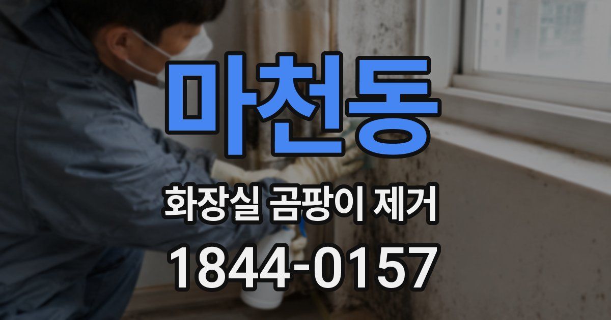 마천동 화장실 곰팡이 제거