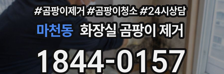 마천동 화장실 곰팡이 제거