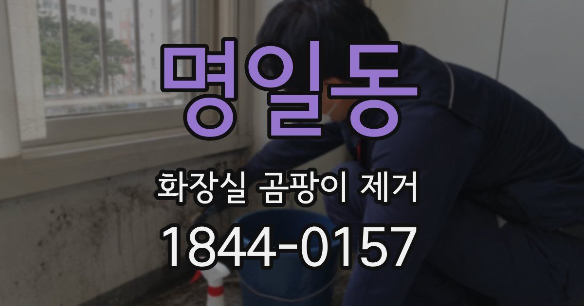 명일동 화장실 곰팡이 제거