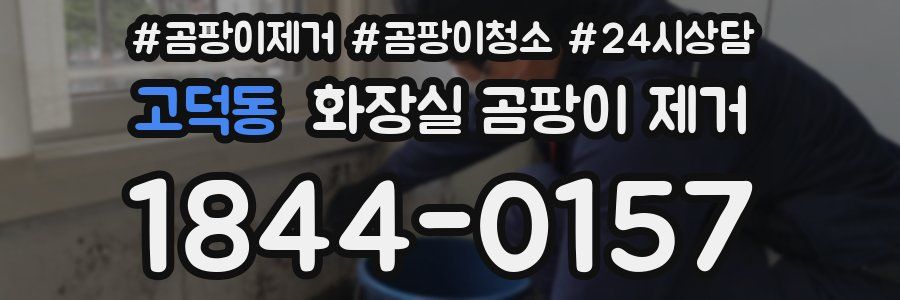 고덕동 화장실 곰팡이 제거