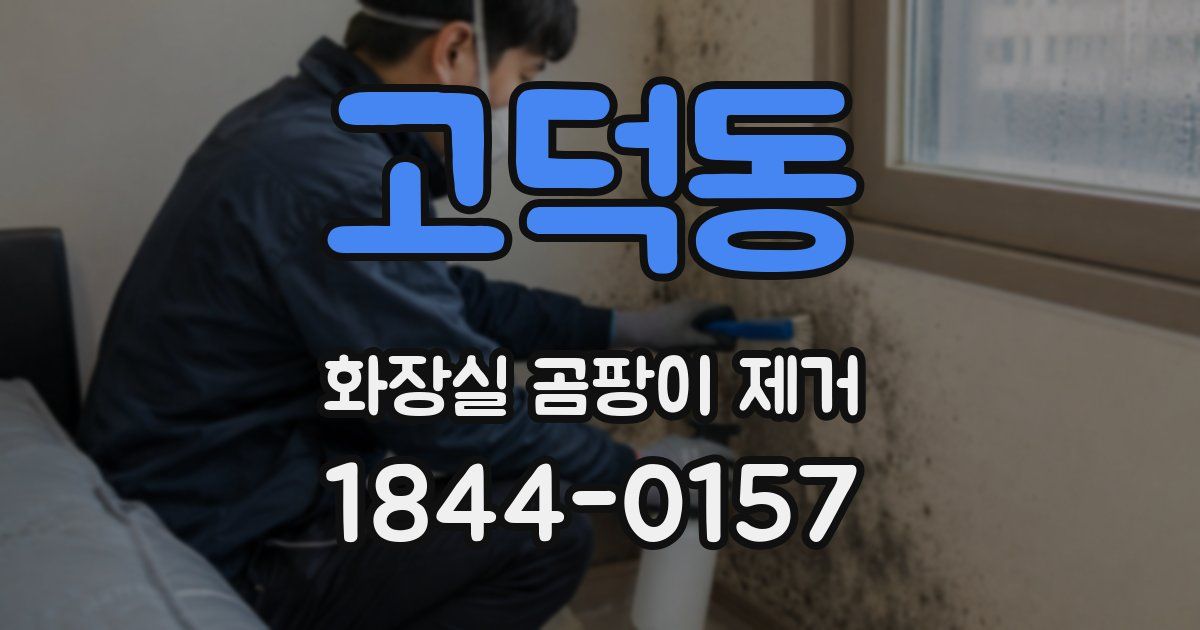 고덕동 화장실 곰팡이 제거