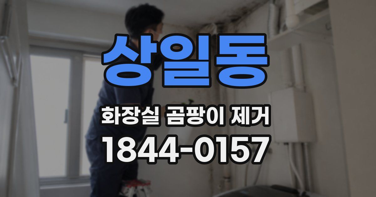 상일동 화장실 곰팡이 제거