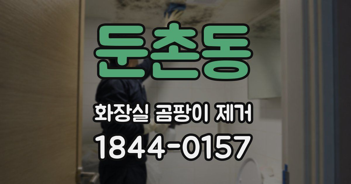 둔촌동 화장실 곰팡이 제거