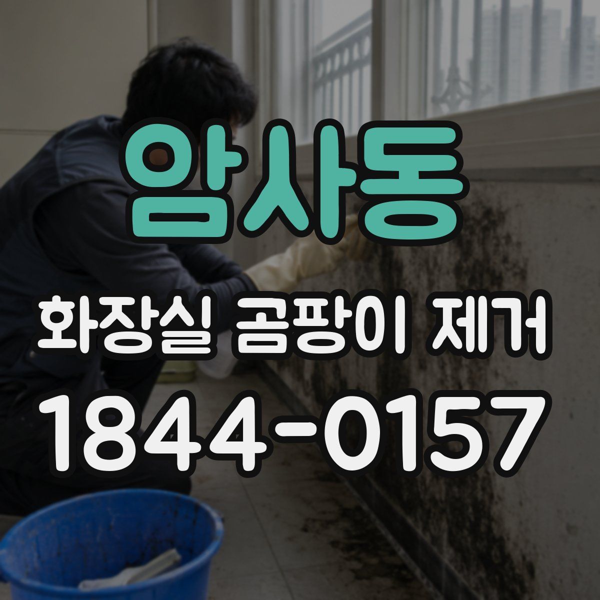 암사동 화장실 곰팡이 제거