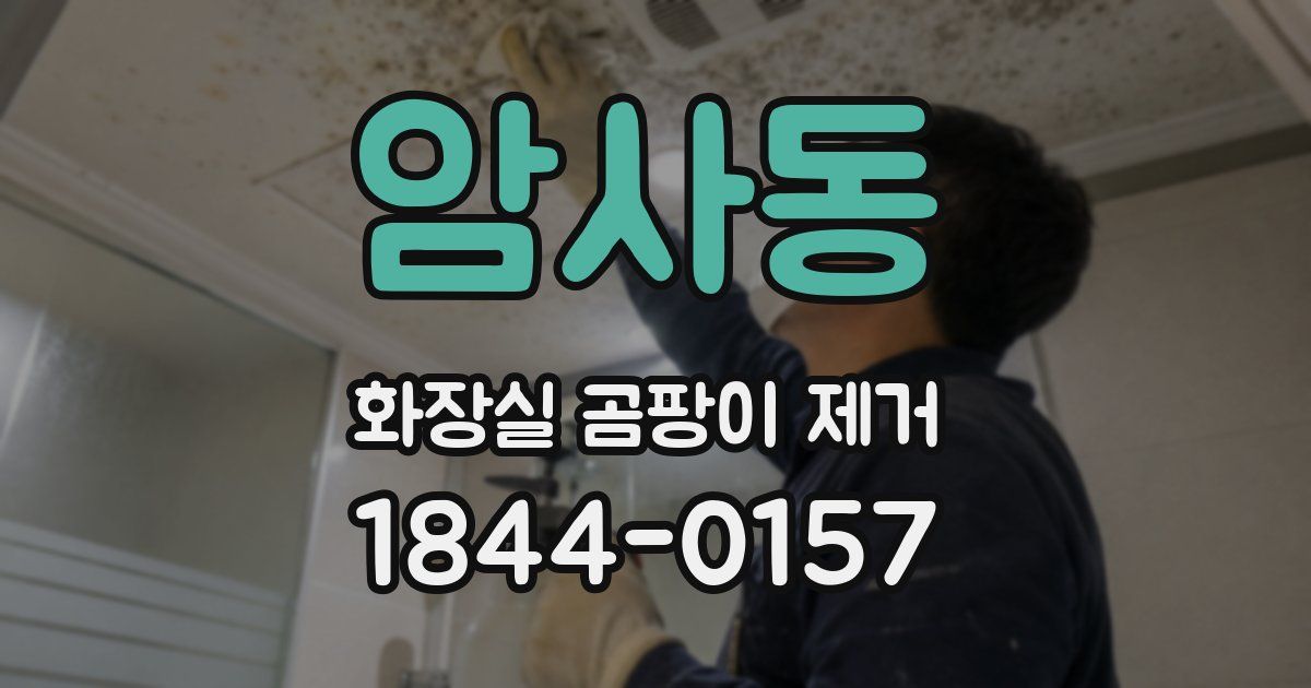 암사동 화장실 곰팡이 제거