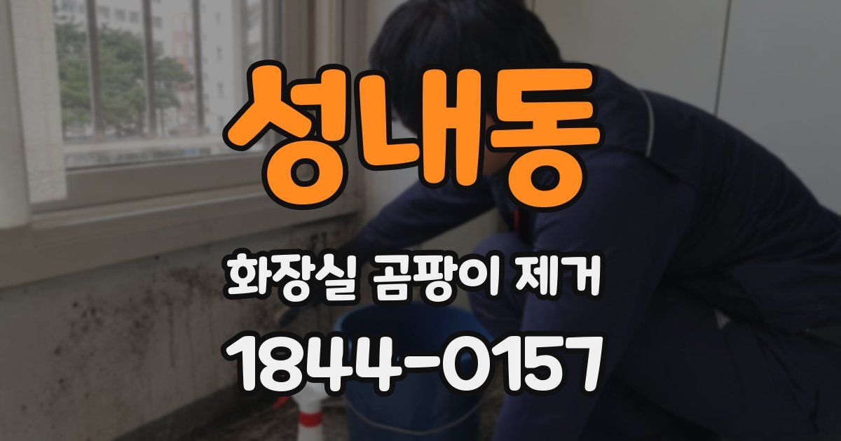 성내동 화장실 곰팡이 제거