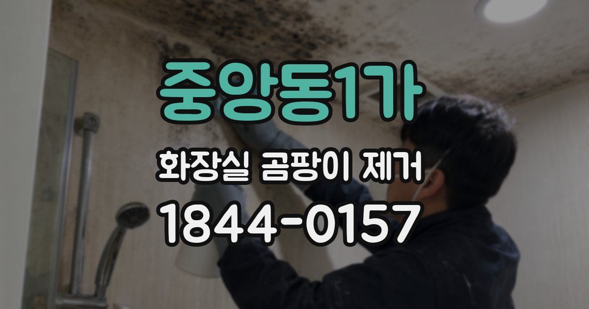 중앙동1가 화장실 곰팡이 제거