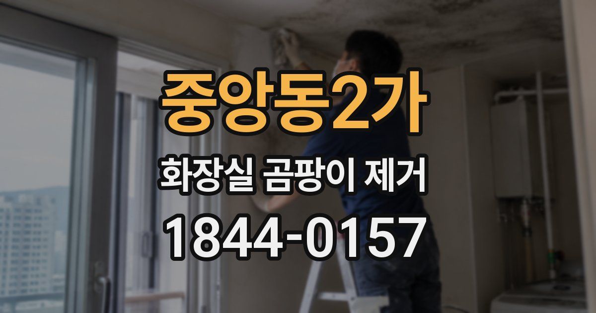 중앙동2가 화장실 곰팡이 제거