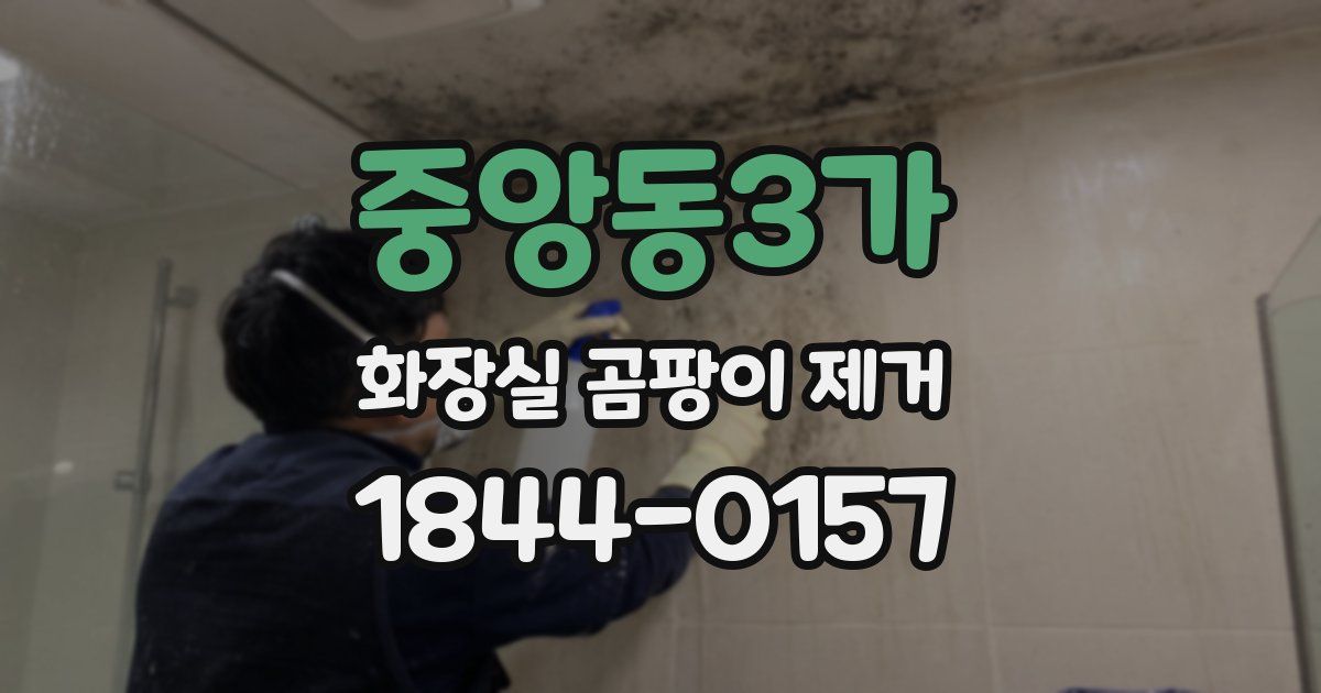 중앙동3가 화장실 곰팡이 제거