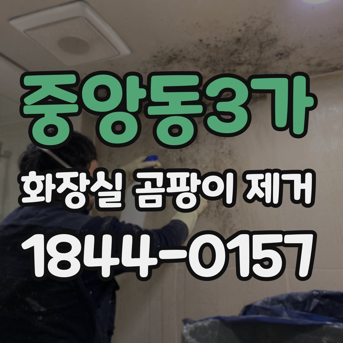 중앙동3가 화장실 곰팡이 제거